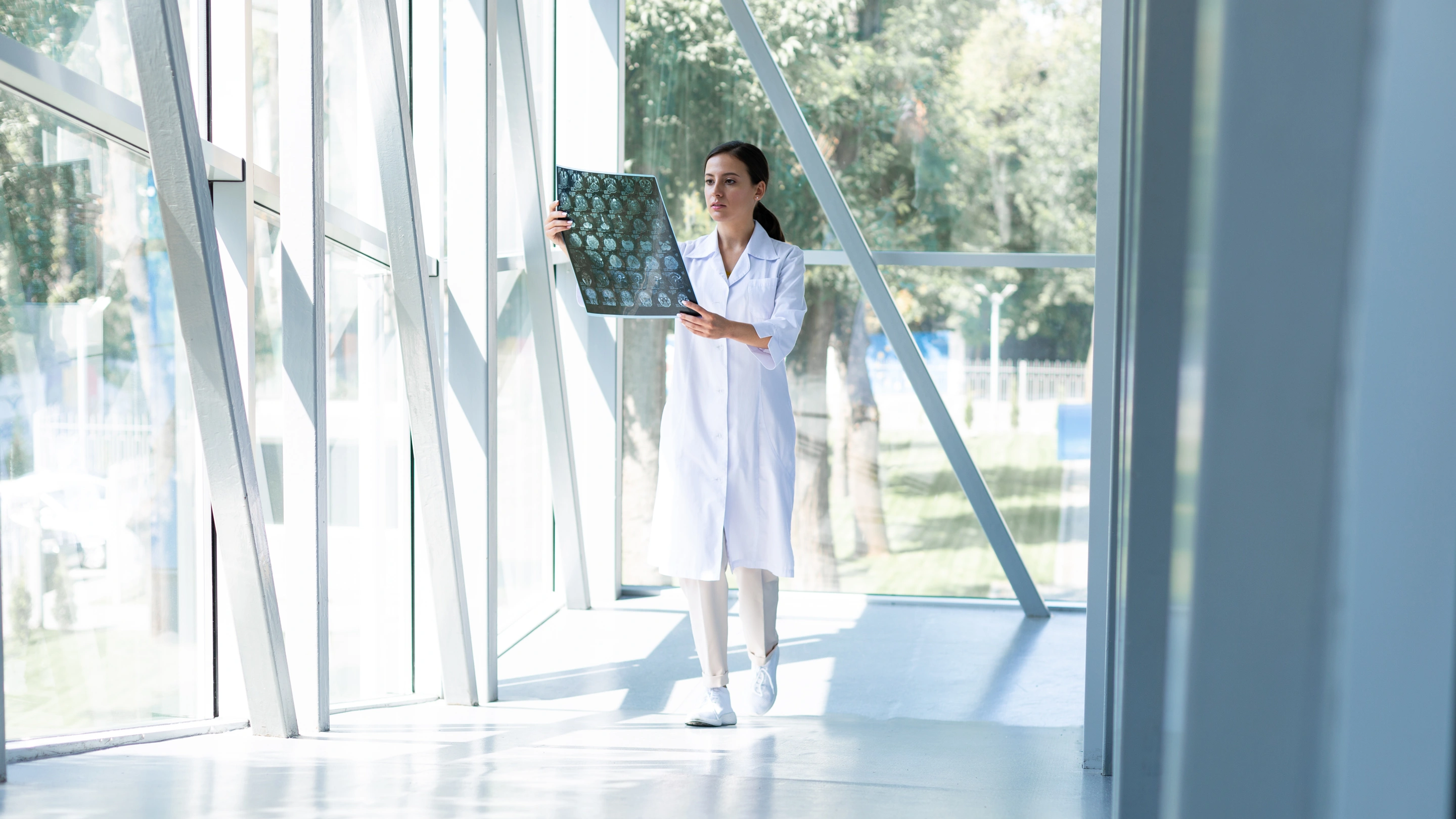 Gastos Médicos Mayores